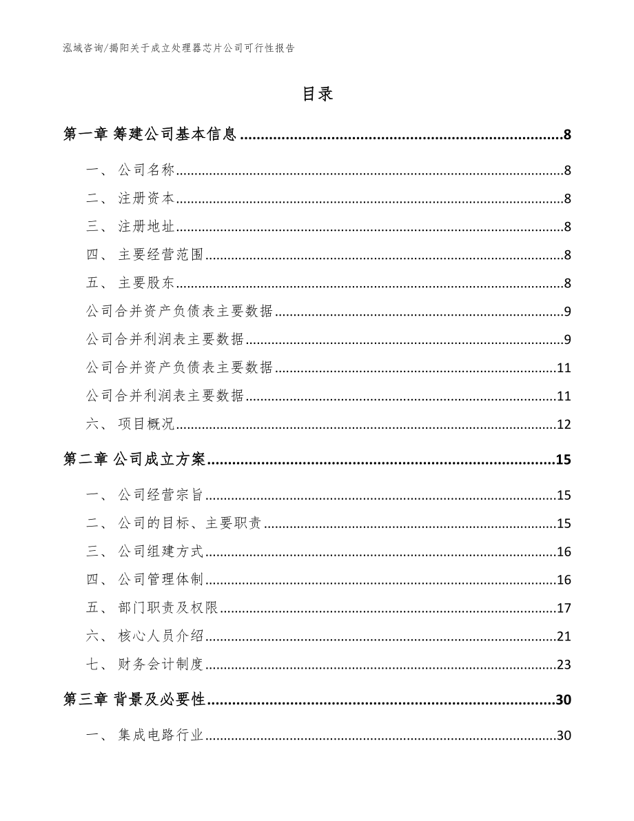 揭阳关于成立处理器芯片公司可行性报告_范文_第2页