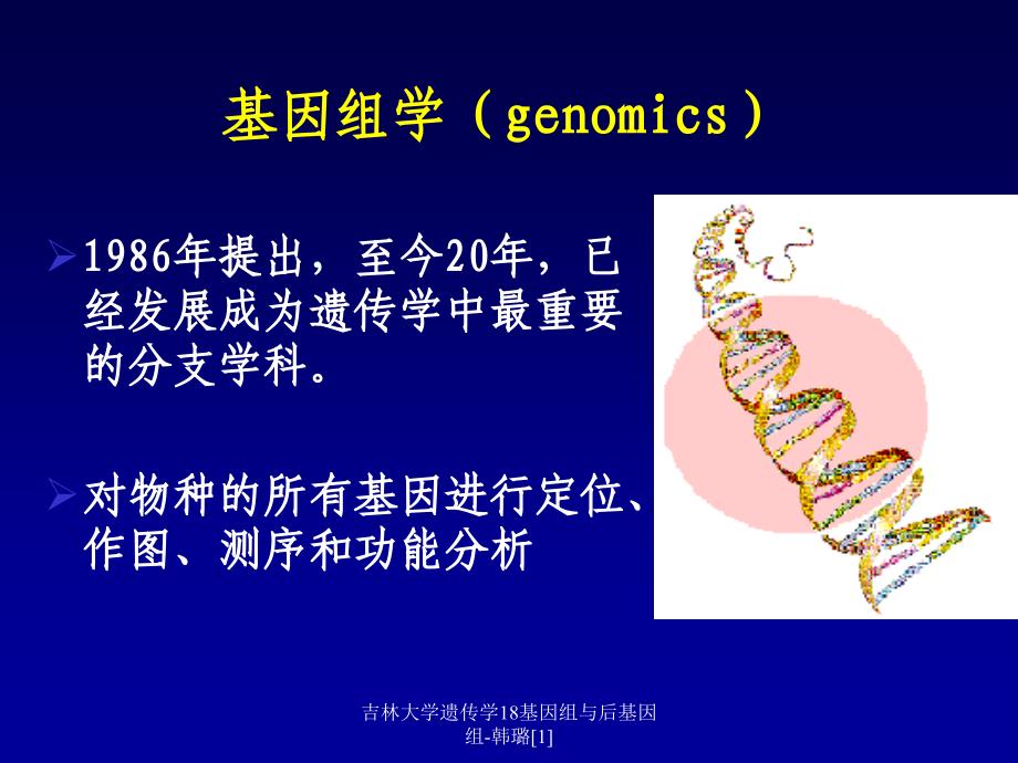 吉林大学遗传学18基因组与后基因组-韩璐[1]课件_第4页