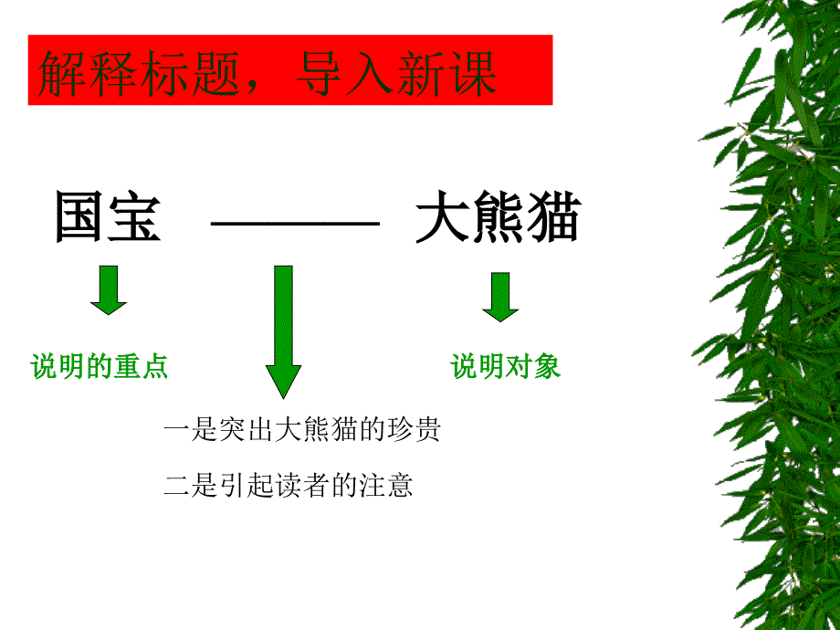 国宝大熊猫课件_第4页