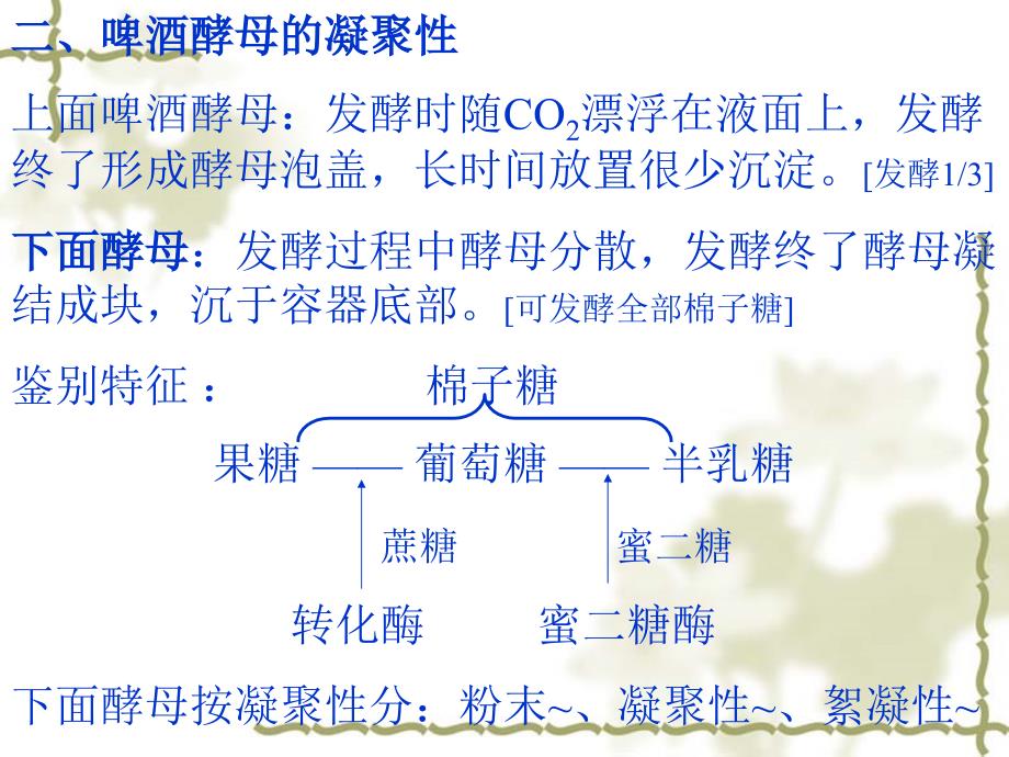 第5章啤酒发酵_第2页