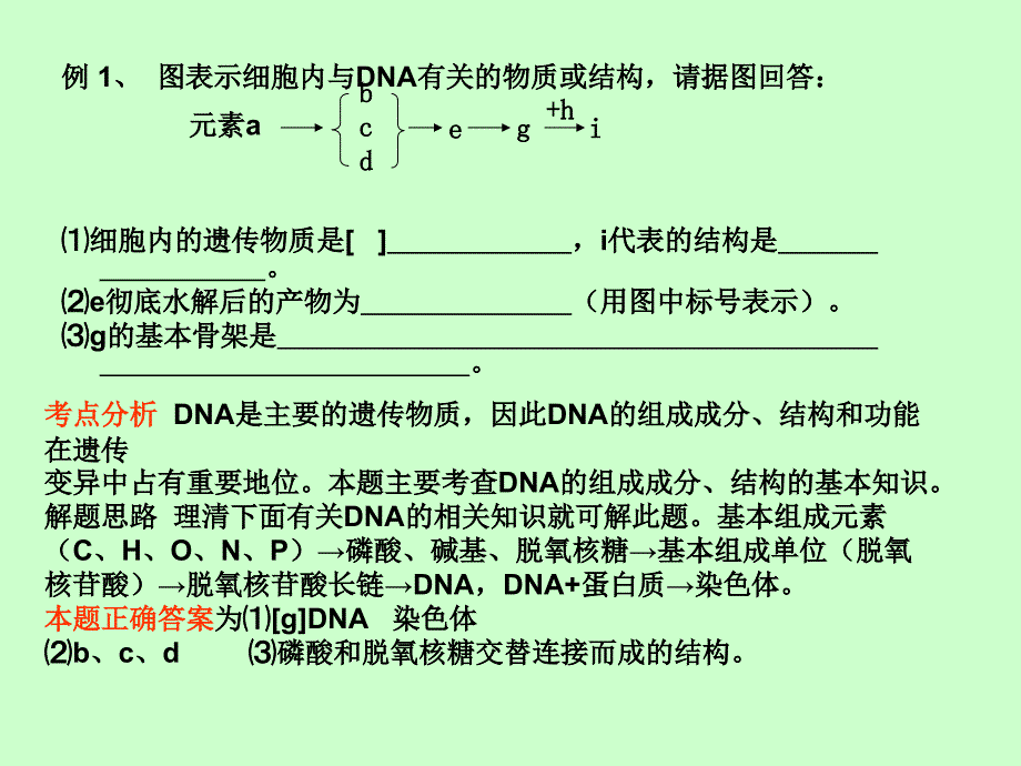 必修2DNA复制、基因是有遗传效应的DNA片段文档资料_第2页