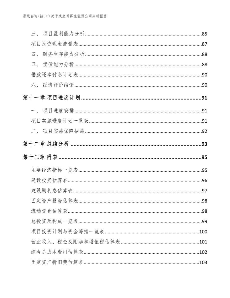 韶山市关于成立可再生能源公司分析报告_第5页