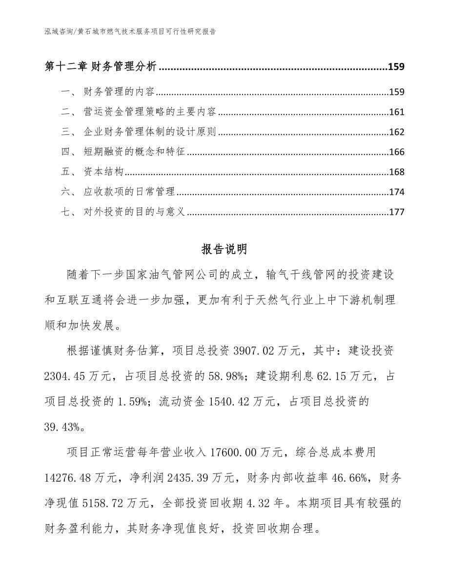 黄石城市燃气技术服务项目可行性研究报告范文参考_第5页