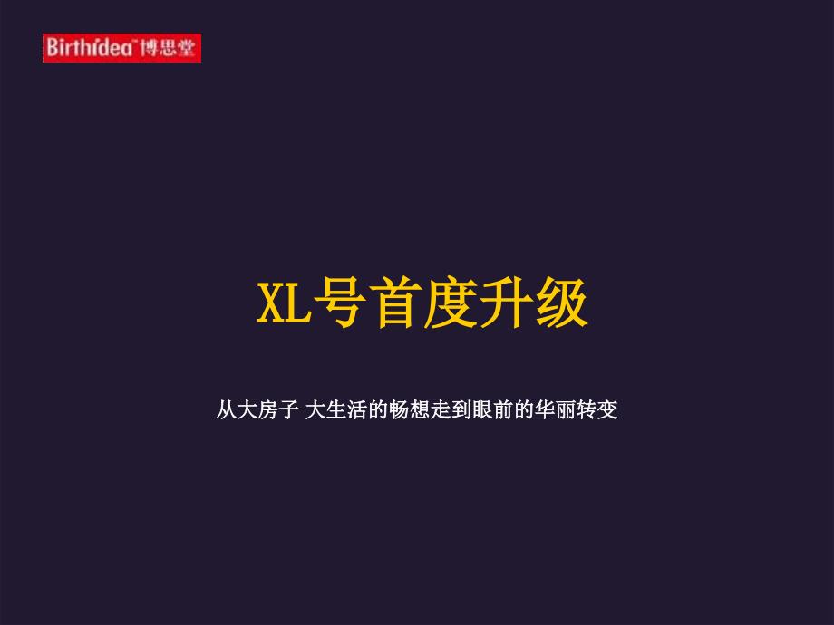 某地产项目推广执行方案_第3页