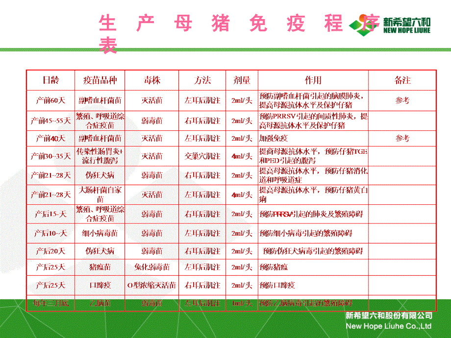 猪免疫程序表PPT_第1页