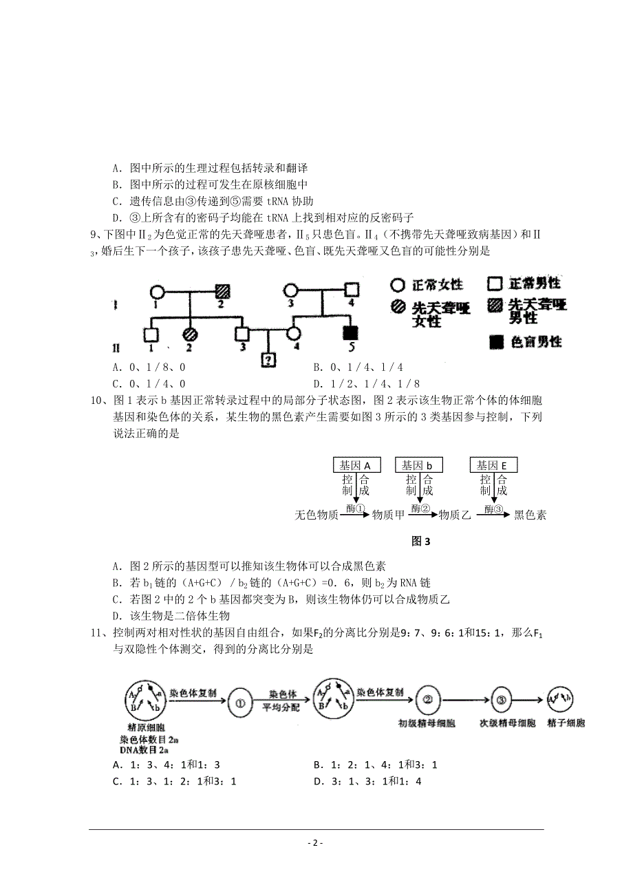 江西省宜春中学2011届高三第二次月考(生物).doc_第2页