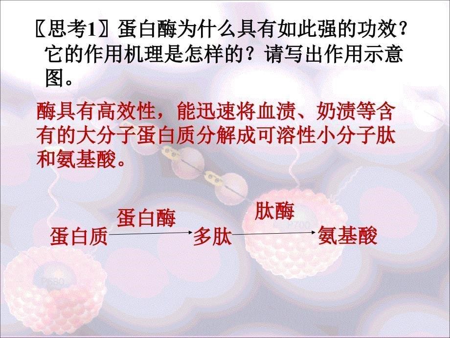 4.2探讨加酶洗衣粉的洗涤效果课件古振宣_第5页