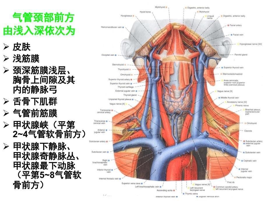 常用急救技术应用基础_第5页