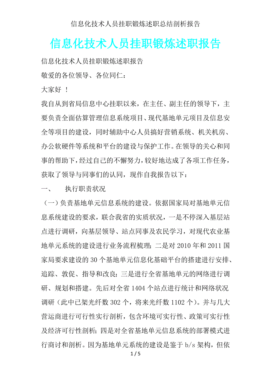 信息化技术人员挂职锻炼述职总结分析报告.doc_第1页