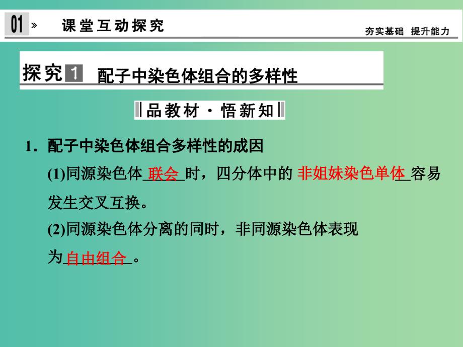 高中生物 2.1减数分裂和受精作用 第2课时课件 新人教版必修2.ppt_第2页