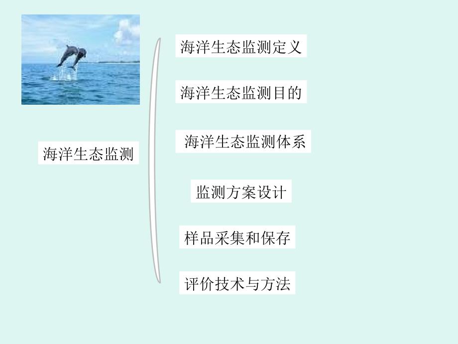 海洋环境监测技术ppt课件生态监测汇总_第2页