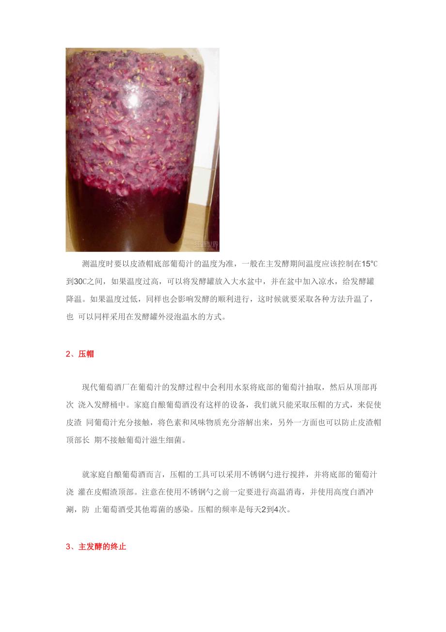 葡萄汁发酵的四个步骤_第2页