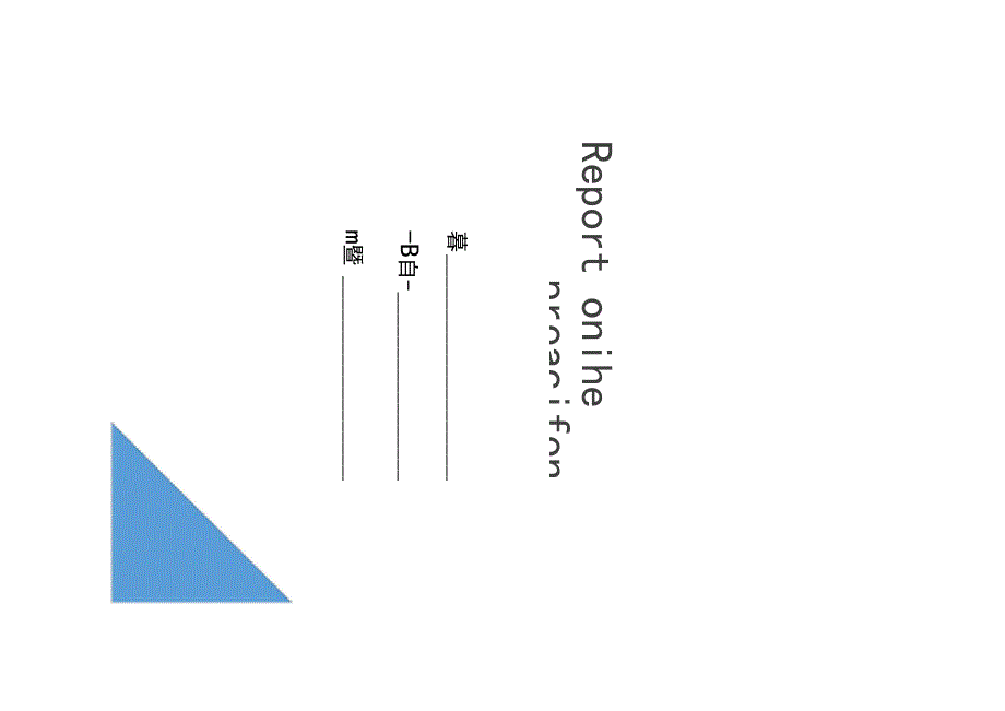 非物质文化遗产保护传承工作情况汇报_第1页