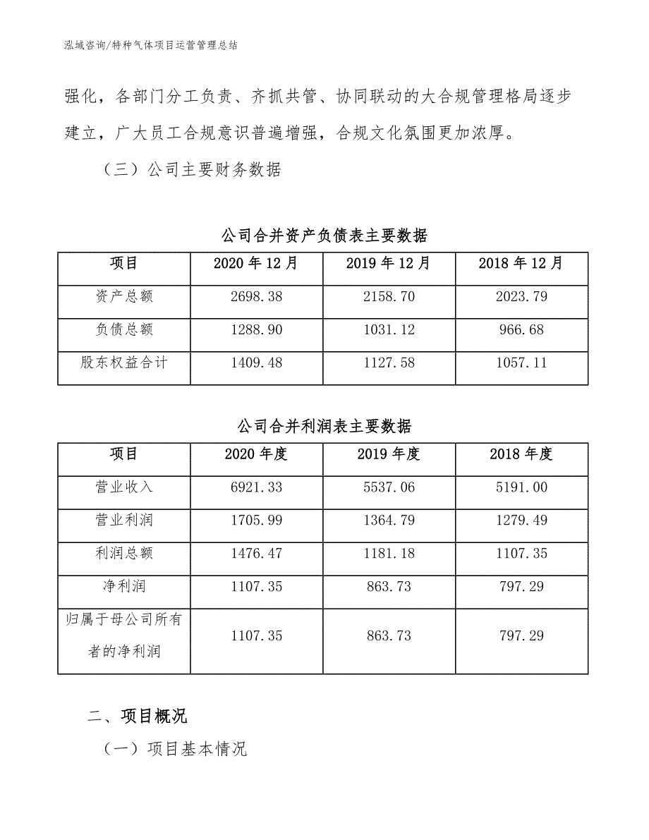 特种气体项目运营管理总结_参考_第4页