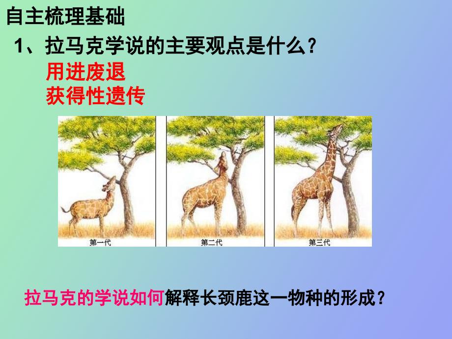 现代生物进化理论_第4页