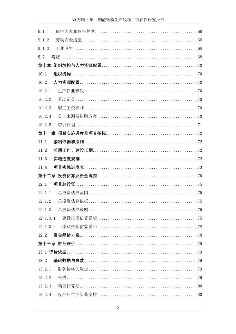 60万吨钢渣微粉可行性论证报告.doc_第5页