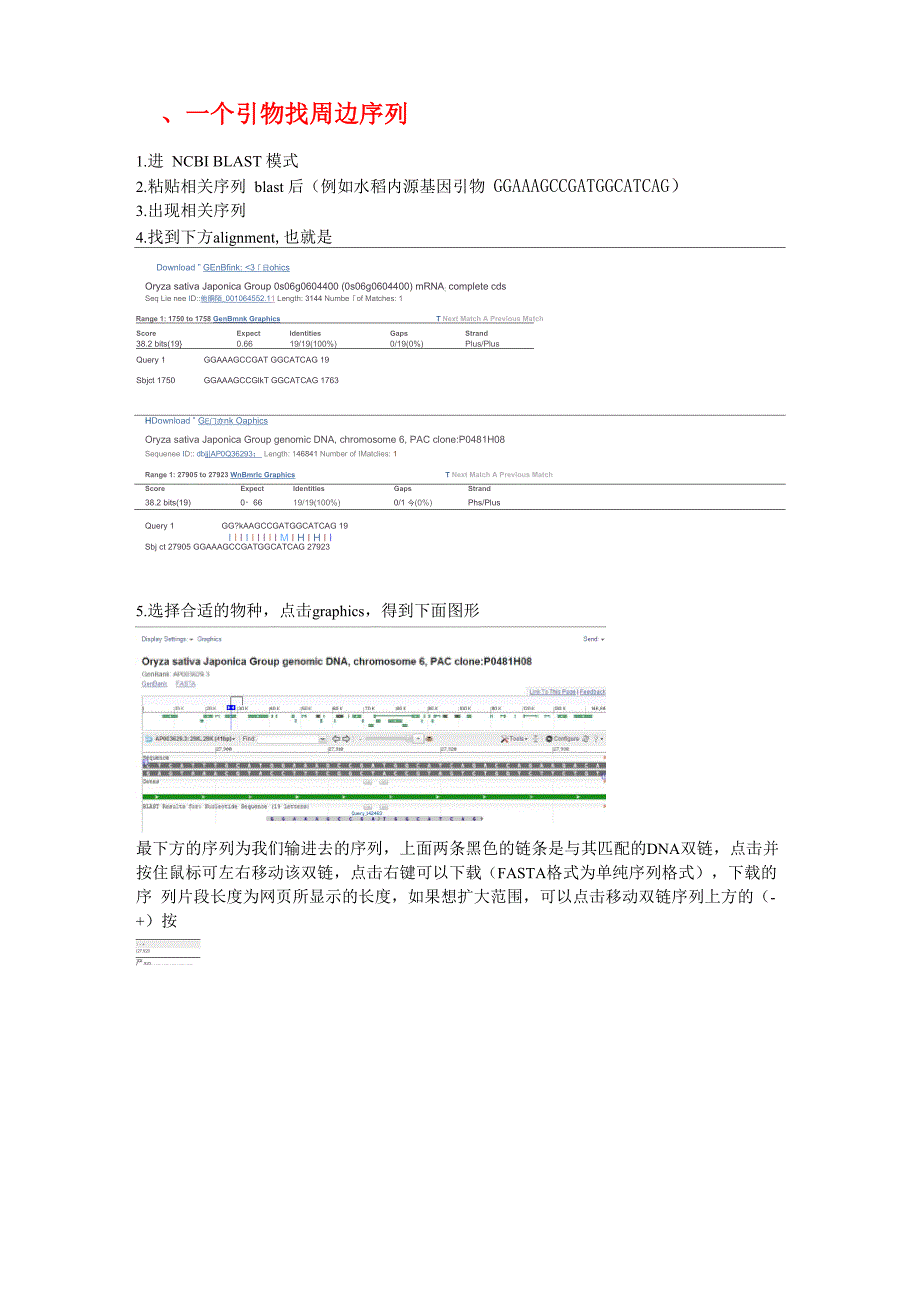 引物找周边序列及引物扩增目的序列_第1页