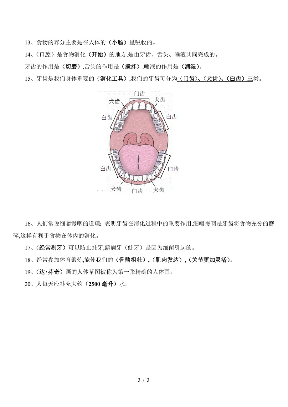 四年级科学上第四单元知识点.doc_第3页