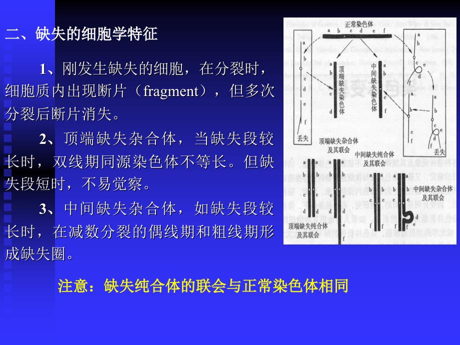 染色体结构变异_第4页