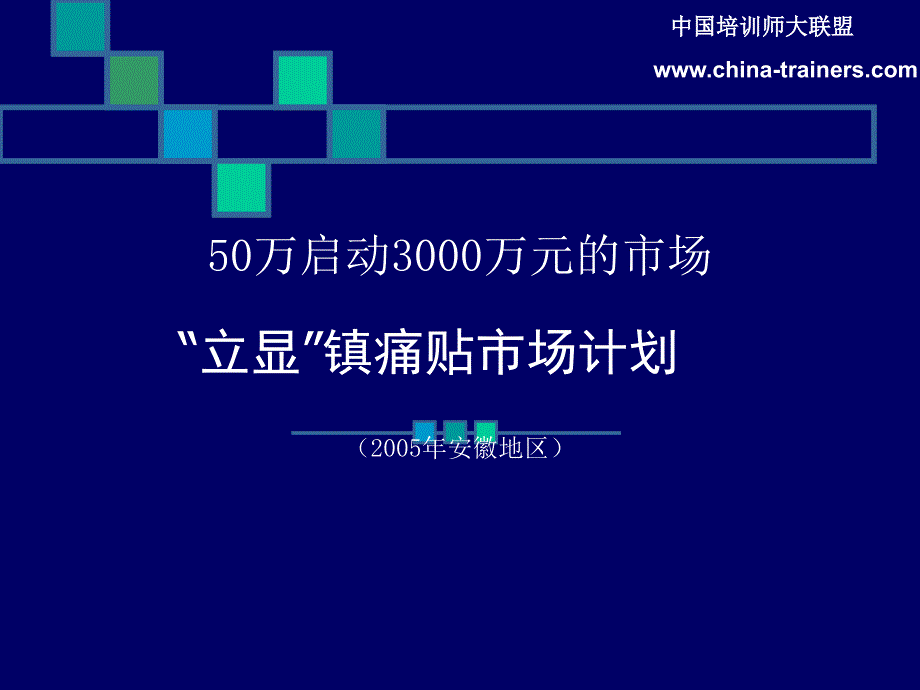 立显镇痛贴市场计划.ppt_第1页