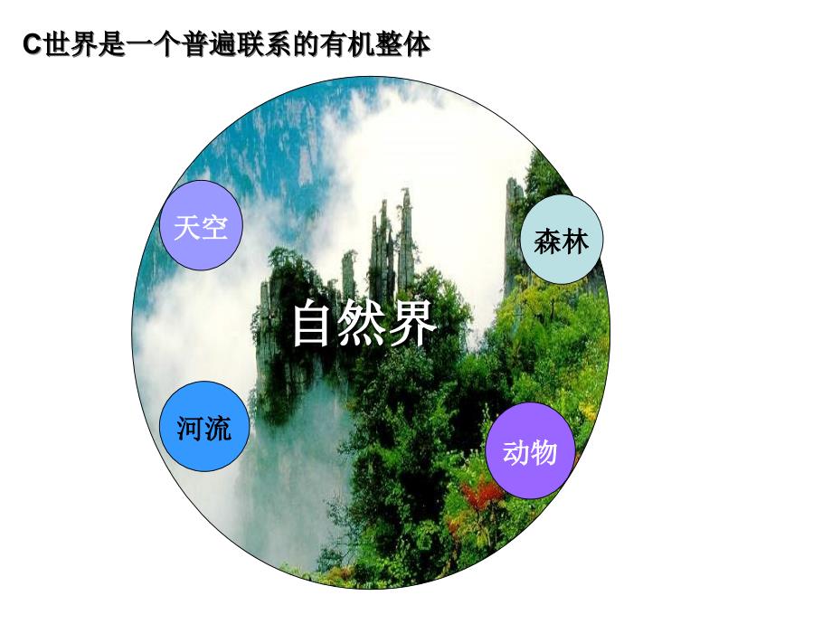 世界是普遍联系的——新课标经典课件_第5页