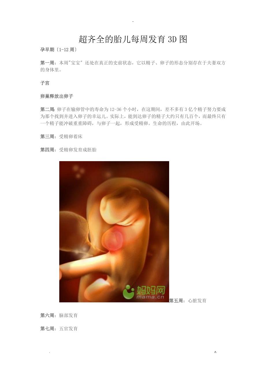 超齐全的胎儿每周发育3D图_第1页