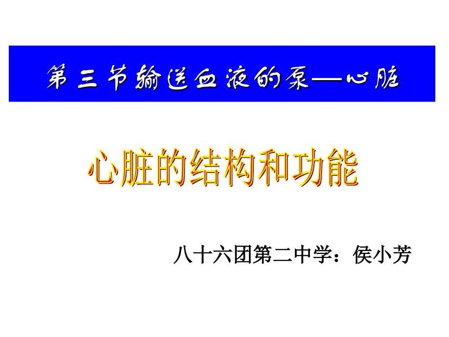 人教版初中生物课件输送血液的泵——心脏共15张PPT_第5页