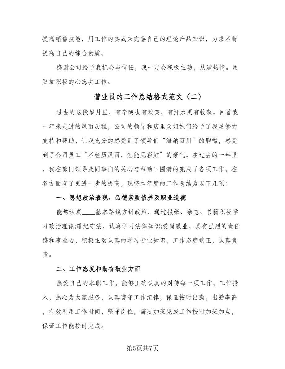 营业员的工作总结格式范文（2篇）.doc_第5页