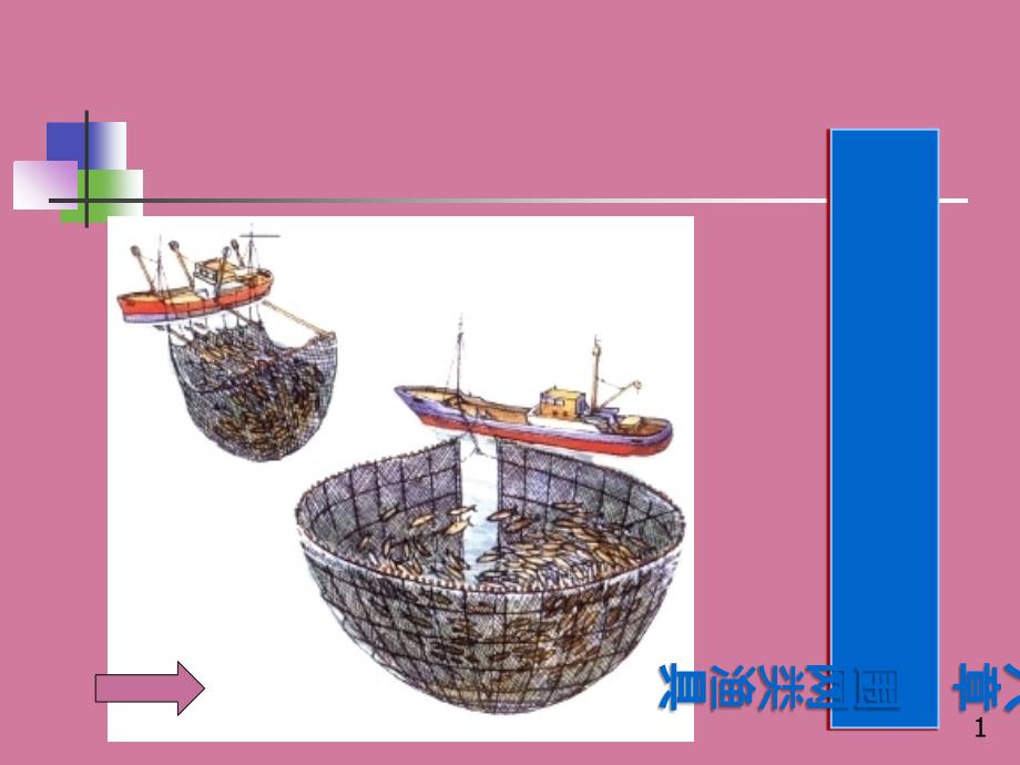 围网渔具ppt课件_第1页