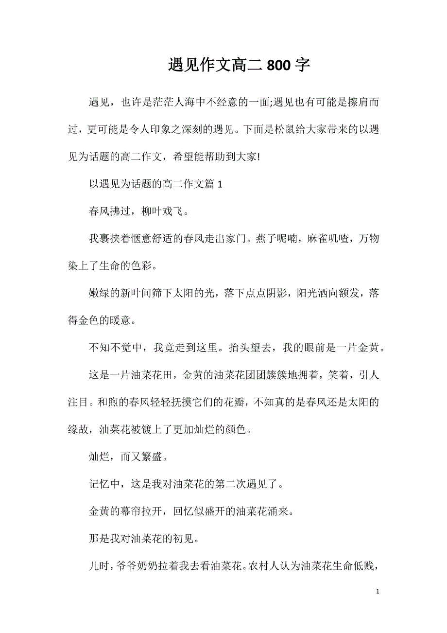 遇见作文高二800字.doc_第1页