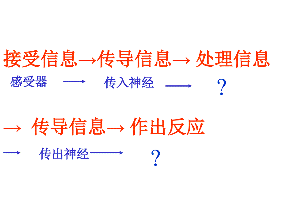 《神经调节第课时》PPT课件_第3页