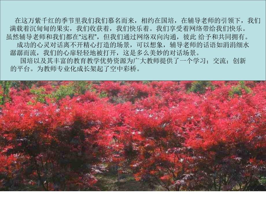 在这万紫千红的季节里我们我们慕名而来相约在国培在_第3页