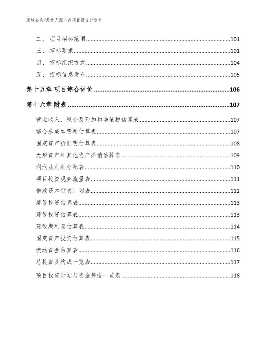潍坊光源产品项目投资计划书_第5页