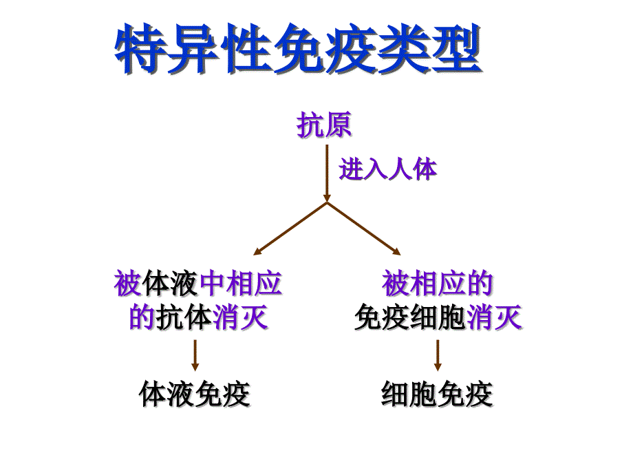 免疫调节第二课时_第2页