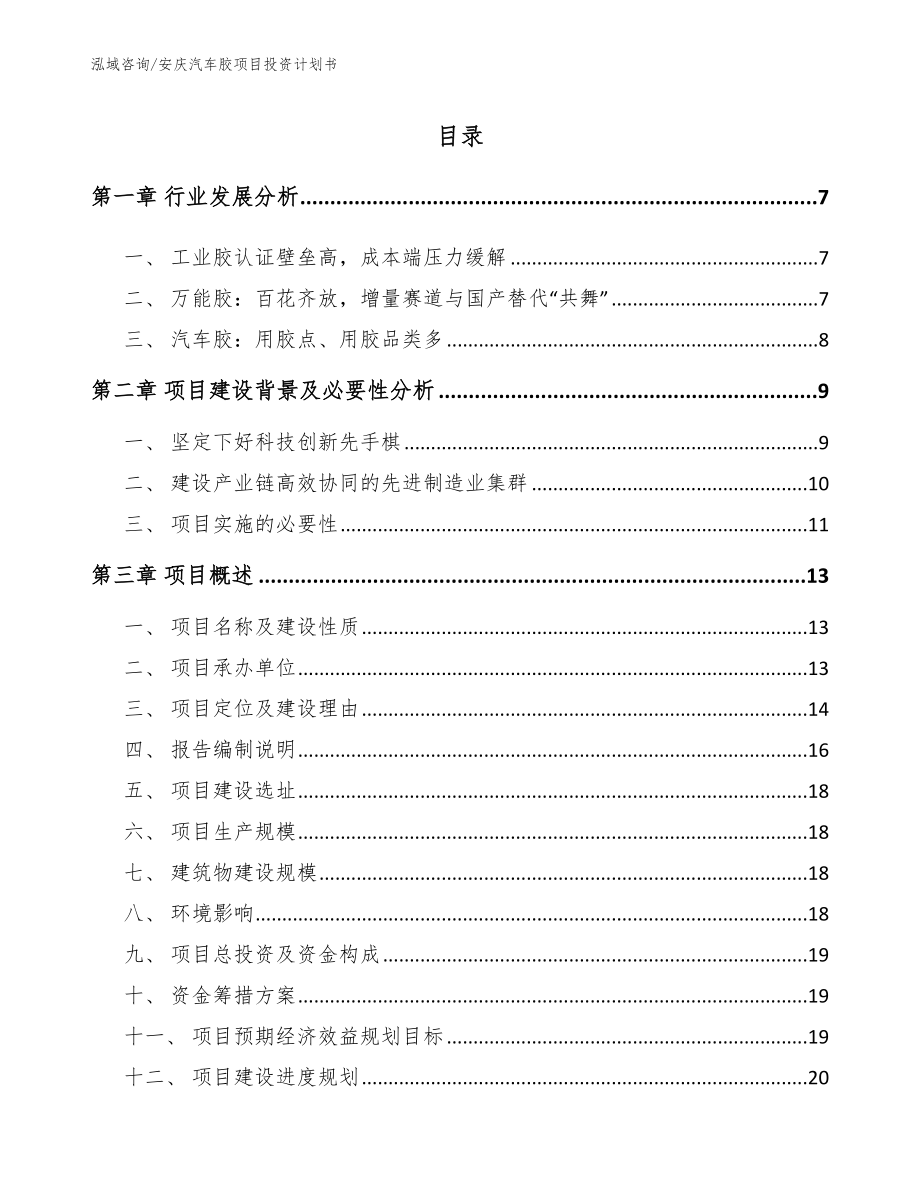 安庆汽车胶项目投资计划书【范文参考】_第1页