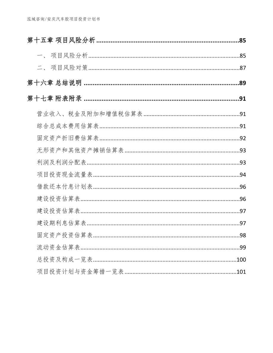 安庆汽车胶项目投资计划书【范文参考】_第5页
