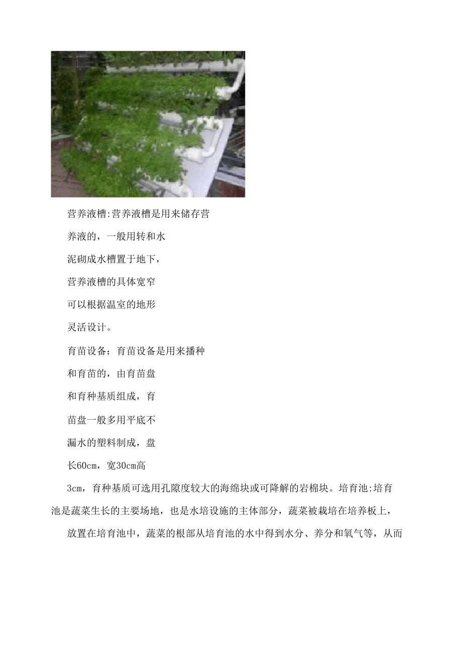 《水培蔬菜的培育技术》学习报告_第5页