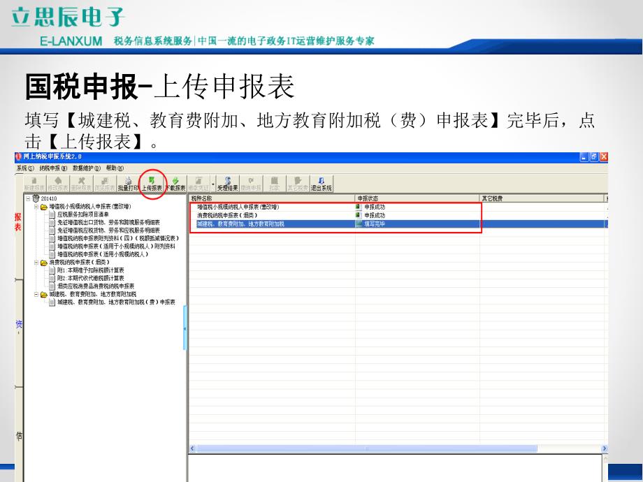 国税申报登录_第3页