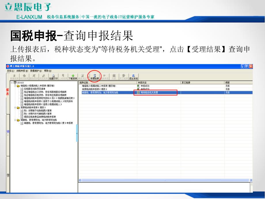 国税申报登录_第4页