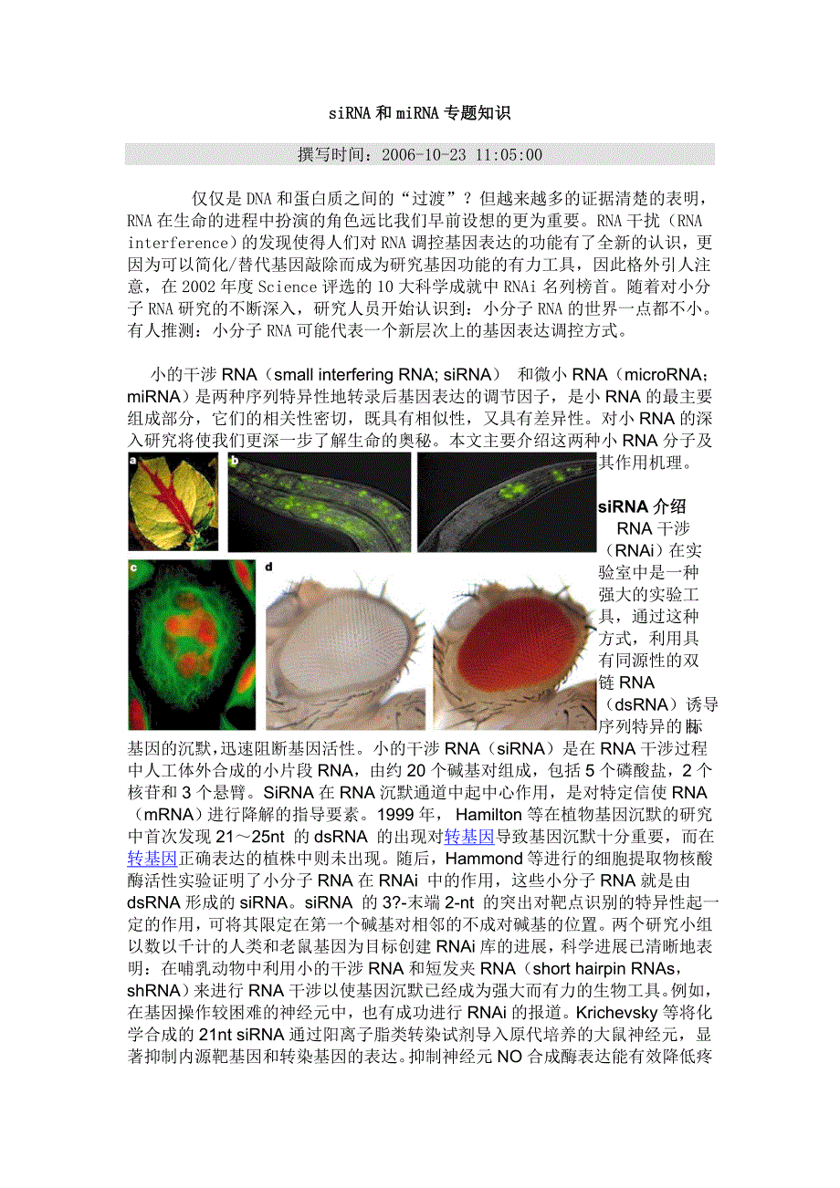 siRNA和miRNA.doc_第1页