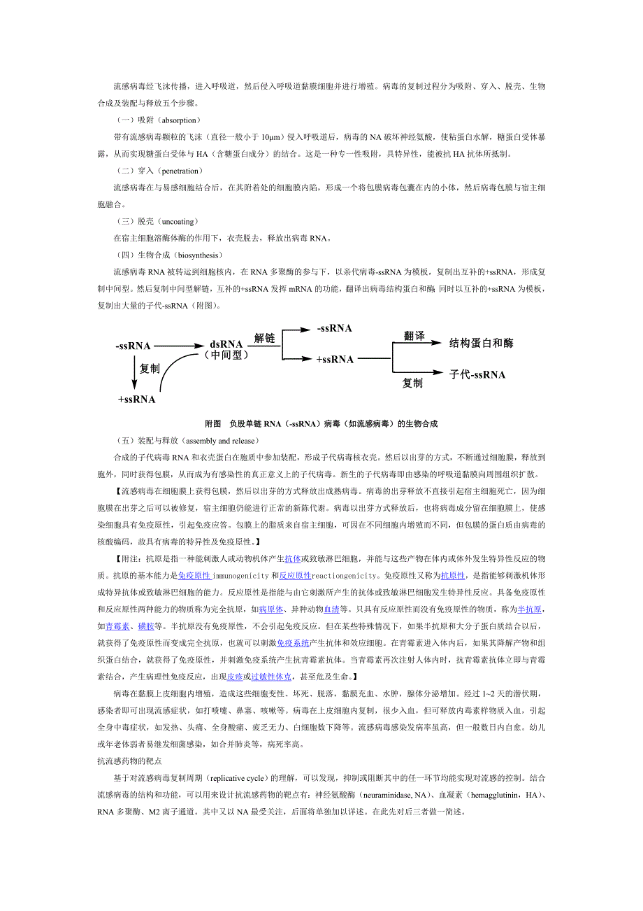 流感病毒基础知识_第3页