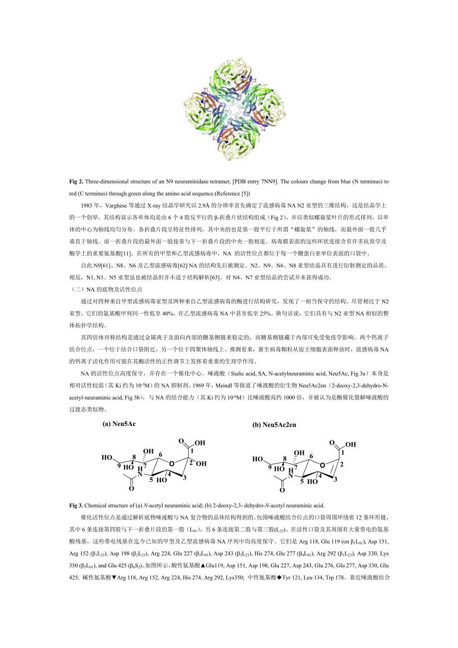 流感病毒基础知识_第5页