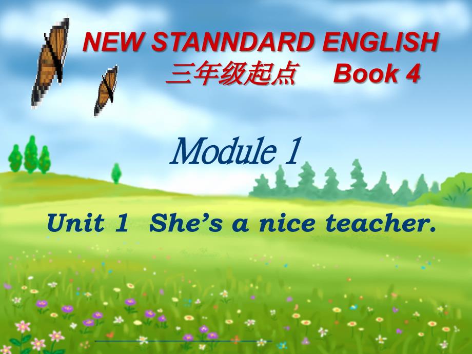 四年级下册She27saniceteacher课件_第1页