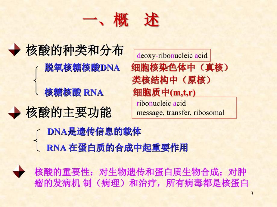 第二章 核酸的化学_第3页