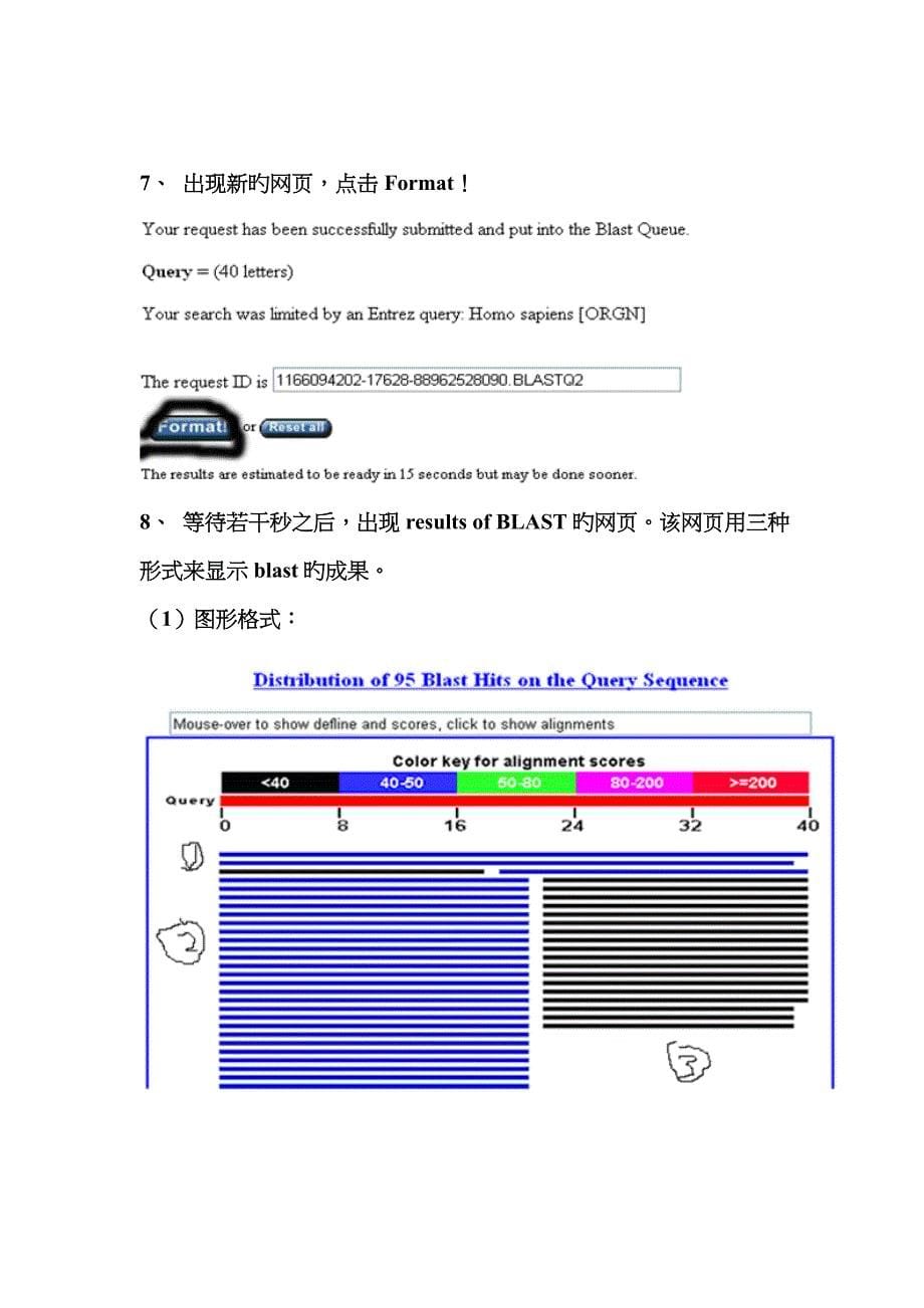 DNA序列比对同源性分析图解BLAST_第5页