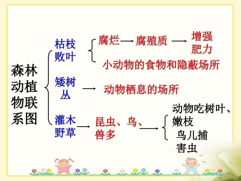 《大自然的启示》教学课件_第5页