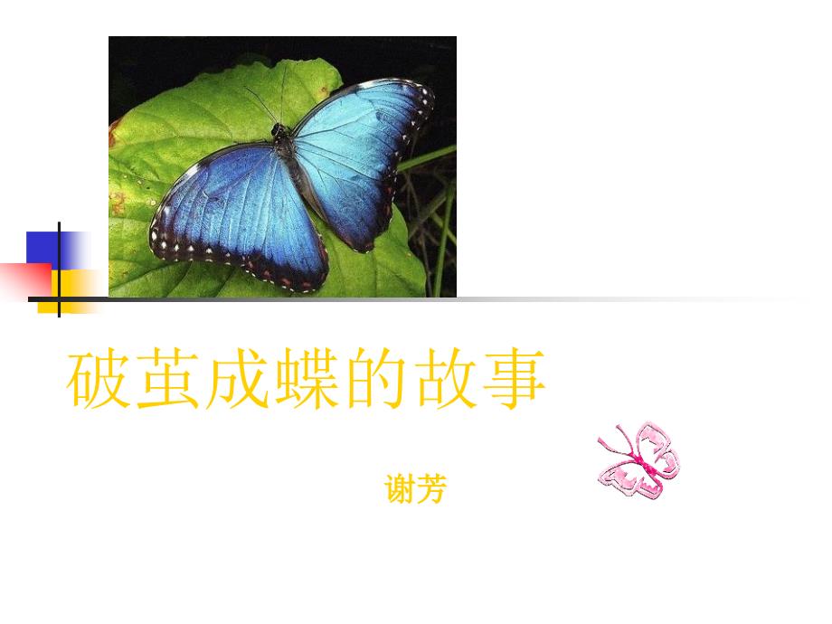 《破茧成蝶的故事》PPT课件.ppt_第1页