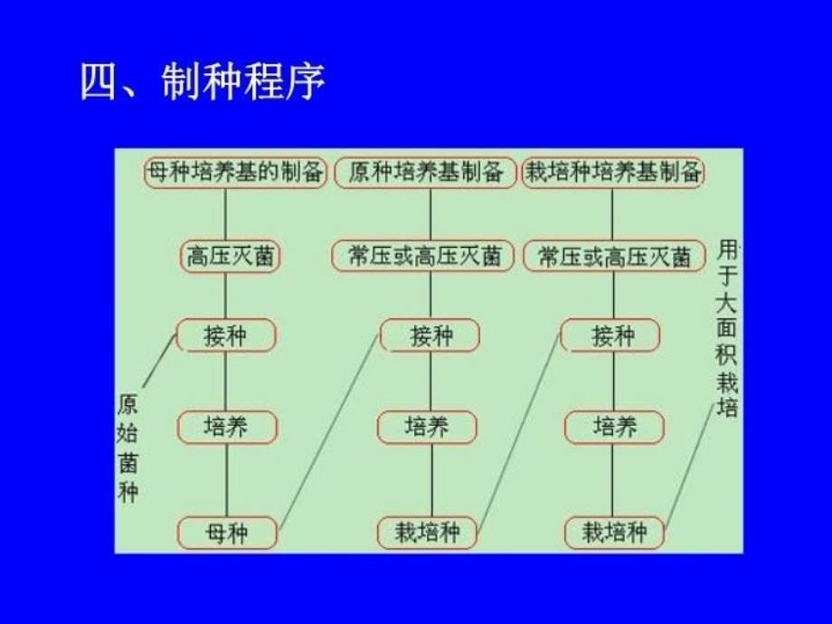 最新实验2菌种分离PPT课件_第5页