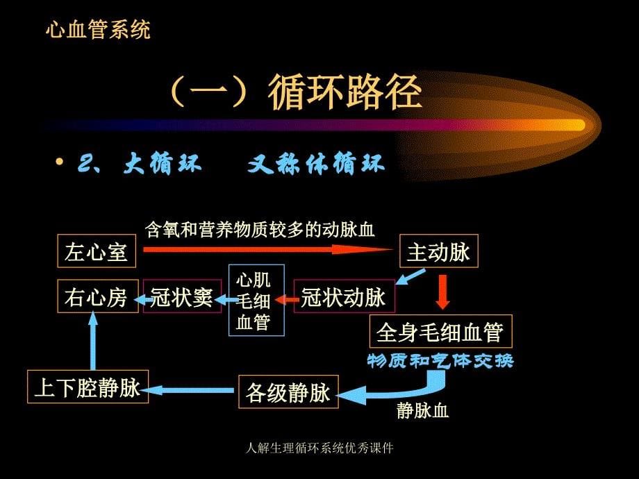 人解生理循环系统优秀课件_第5页