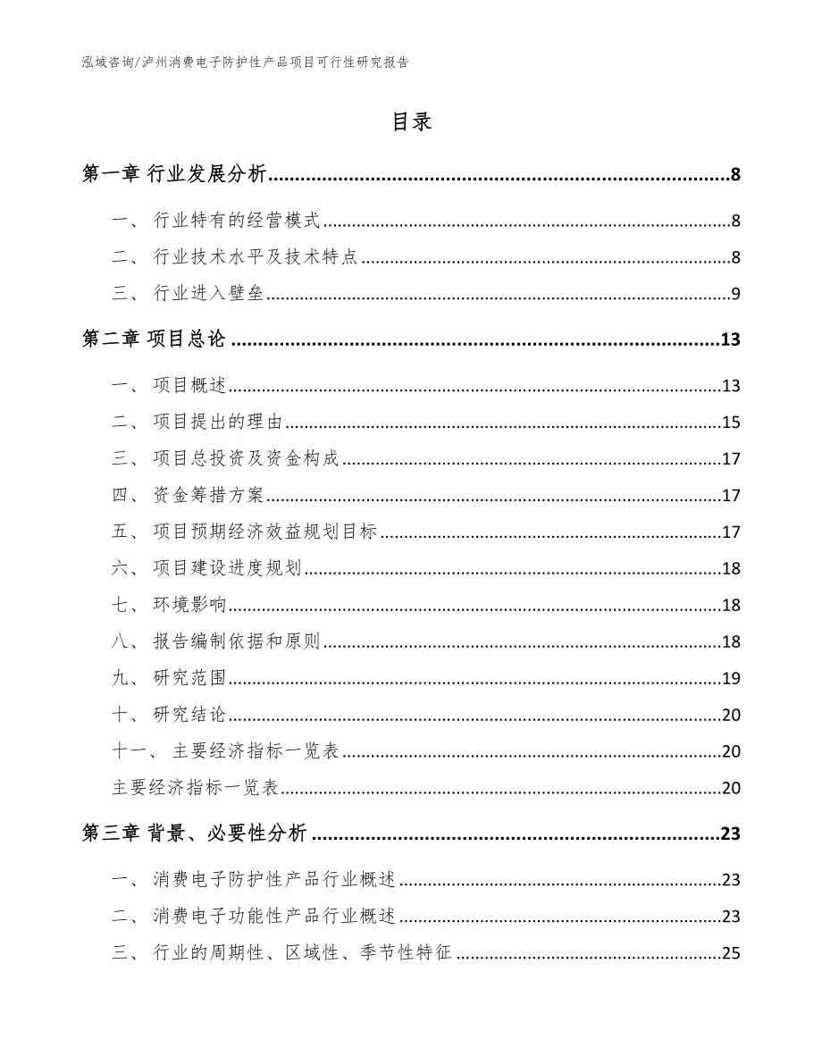 泸州消费电子防护性产品项目可行性研究报告模板范本_第2页